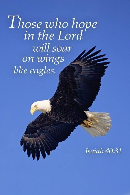 Renewing Your Strength: The Deep Theological Power of Isaiah 40:31